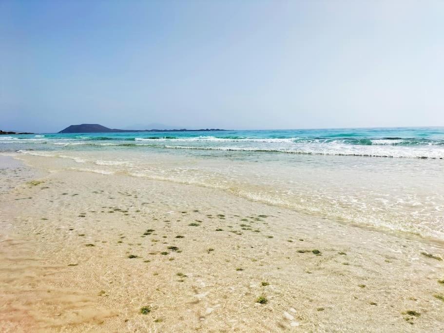 Oceanview Retreat Corralejo Apartment Екстериор снимка